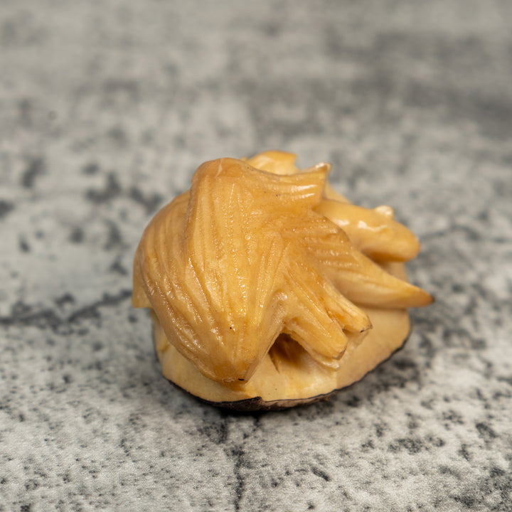 Vintage Natural White Double Neque Agouti Tagua Carving