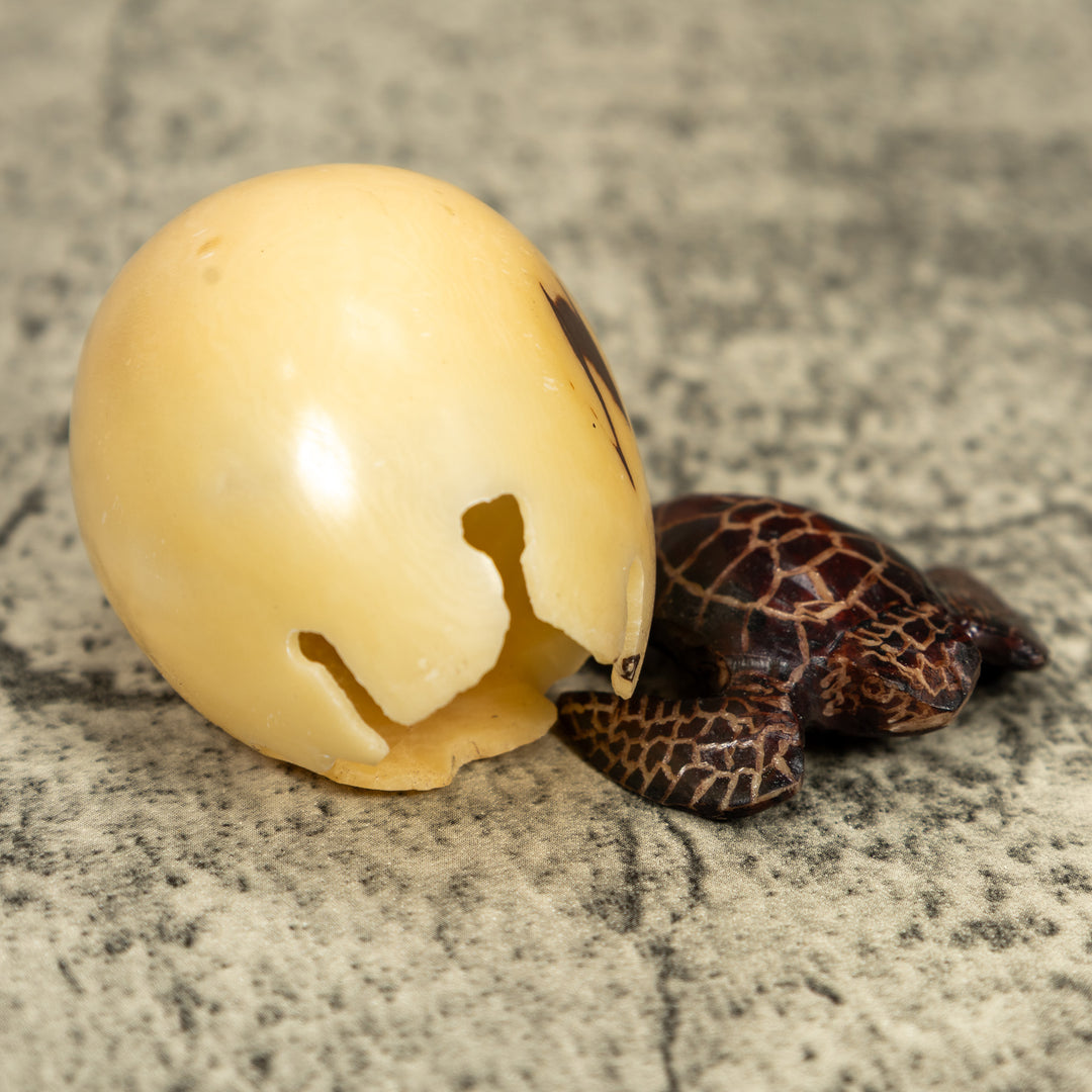 Sea Turtle And Removable Egg Tagua Carving