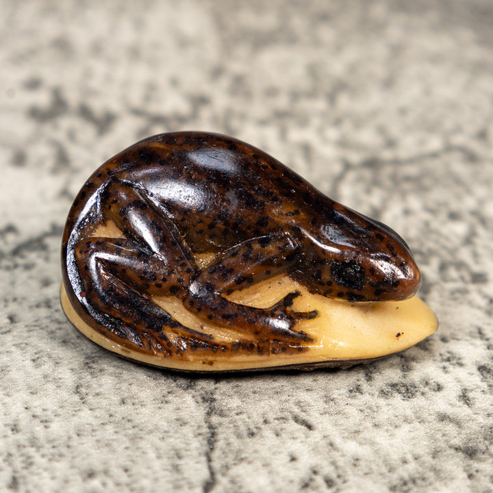 Vintage Brown Gecko Lizard Tagua Carving