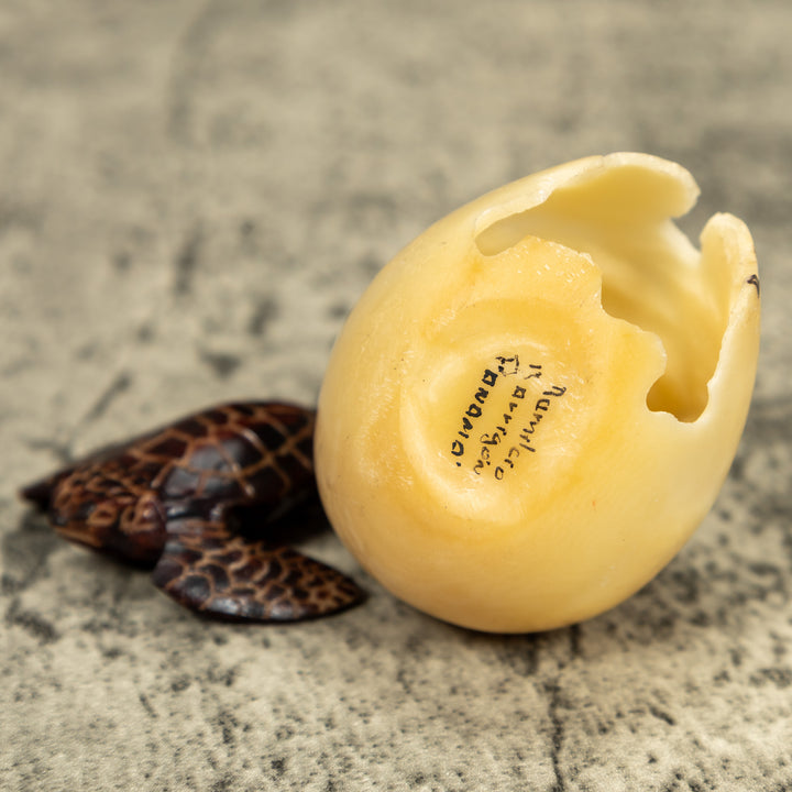 Sea Turtle And Removable Egg Tagua Carving