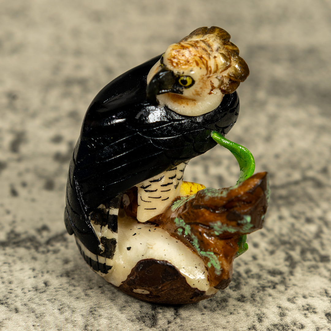 Magnificent Endangered Harpy Eagle Tagua Carving