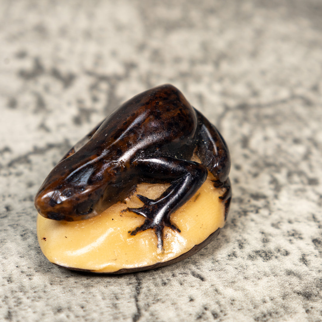 Vintage Brown Gecko Lizard Tagua Carving
