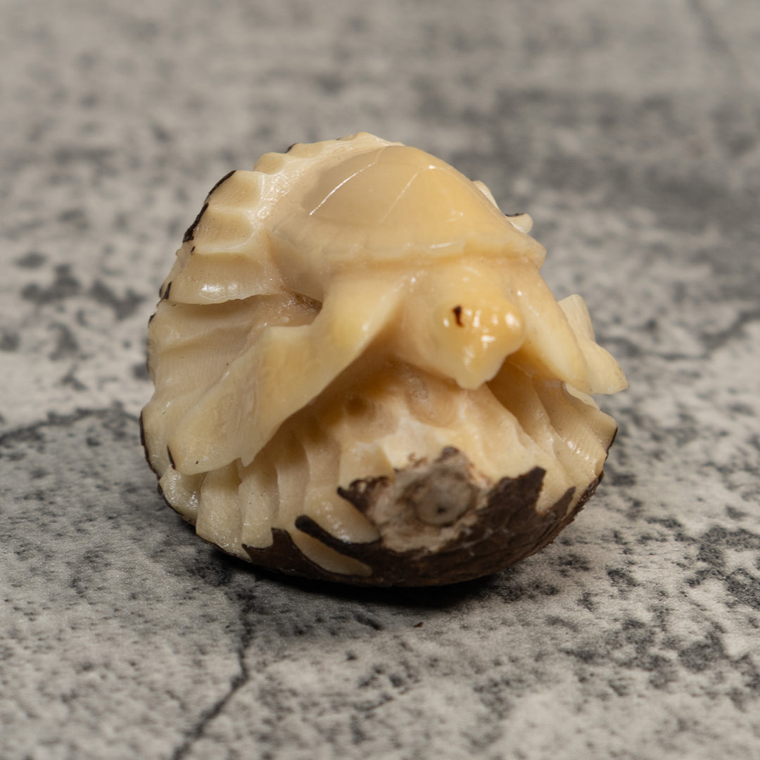 Vintage White Natural Sea Turtle Tagua Carving