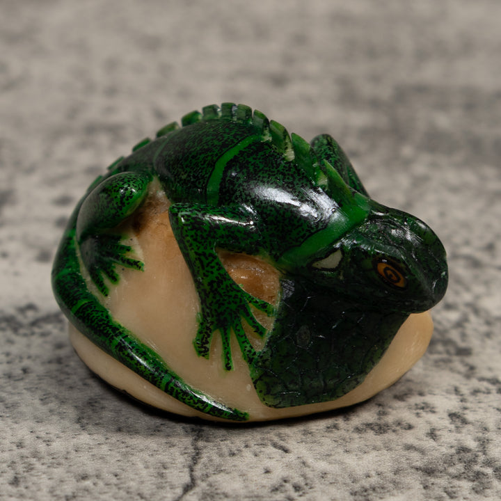 Green Iguana Lizard Iguana Tagua Carving