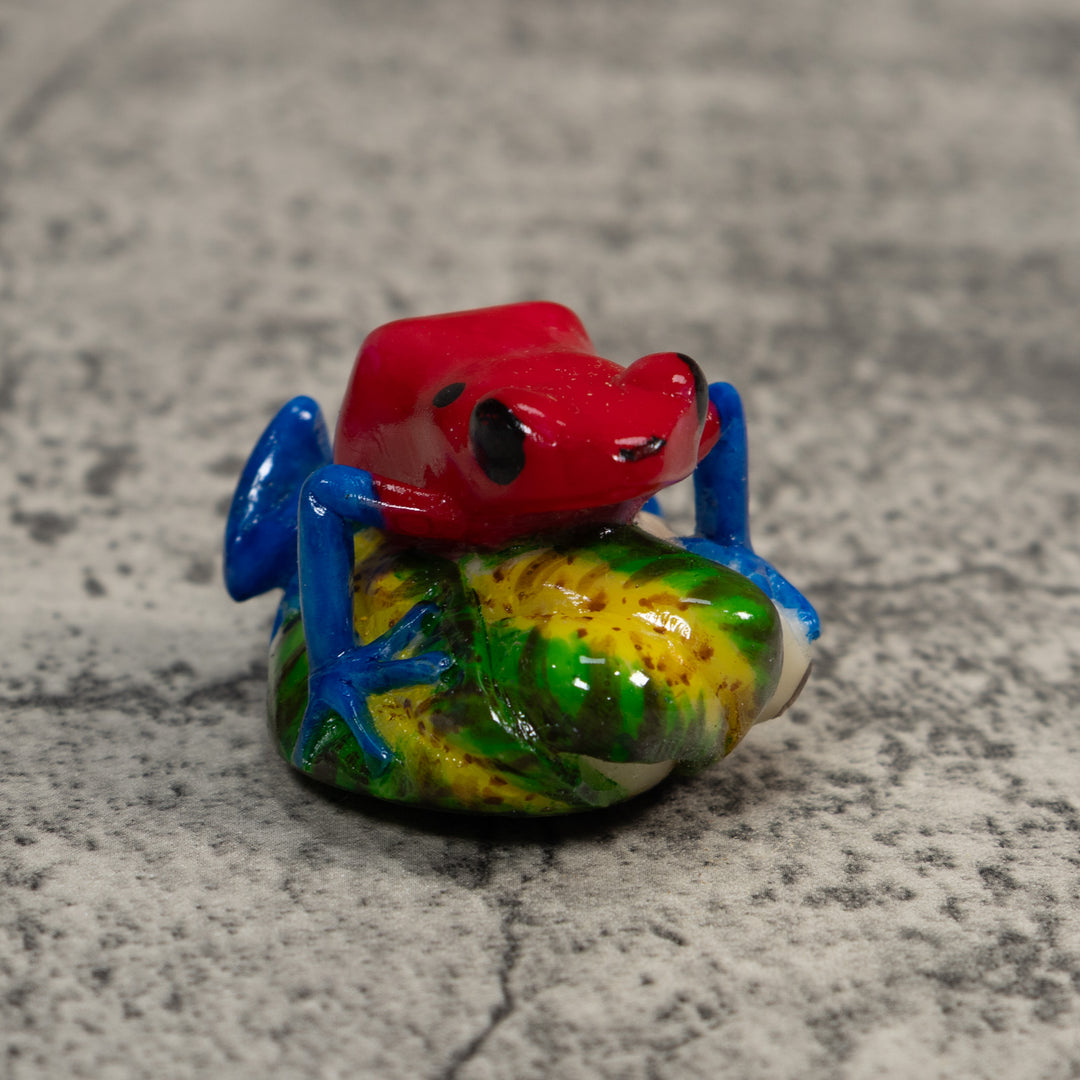 Red And Blue Poison Dart Frog Tagua Carving