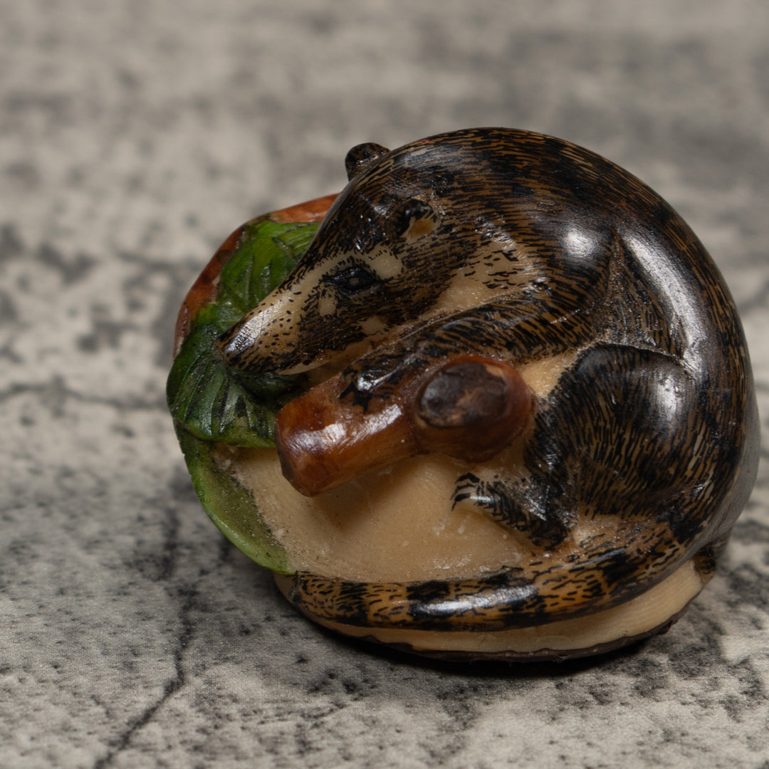 Coatimundi Tagua Carving