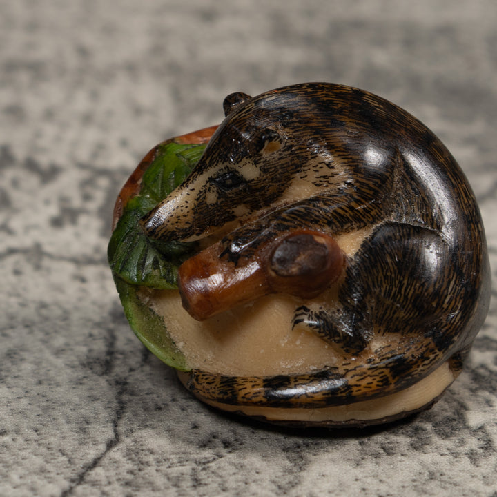 Coatimundi Tagua Carving