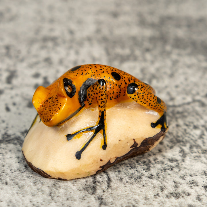 Gold And Black Poison Dart Frog Tagua Carving