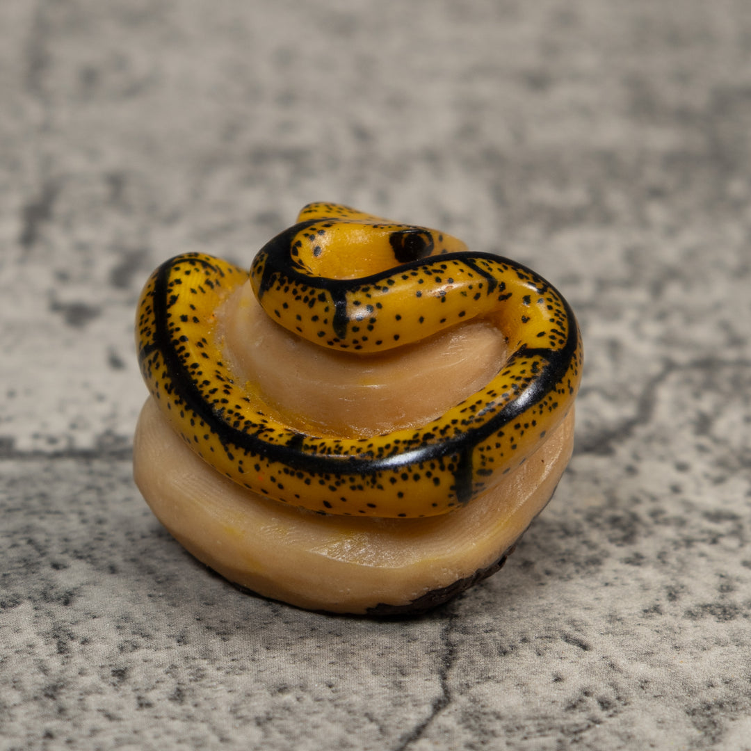 Black And Tan Bush Master Snake Tagua Carving