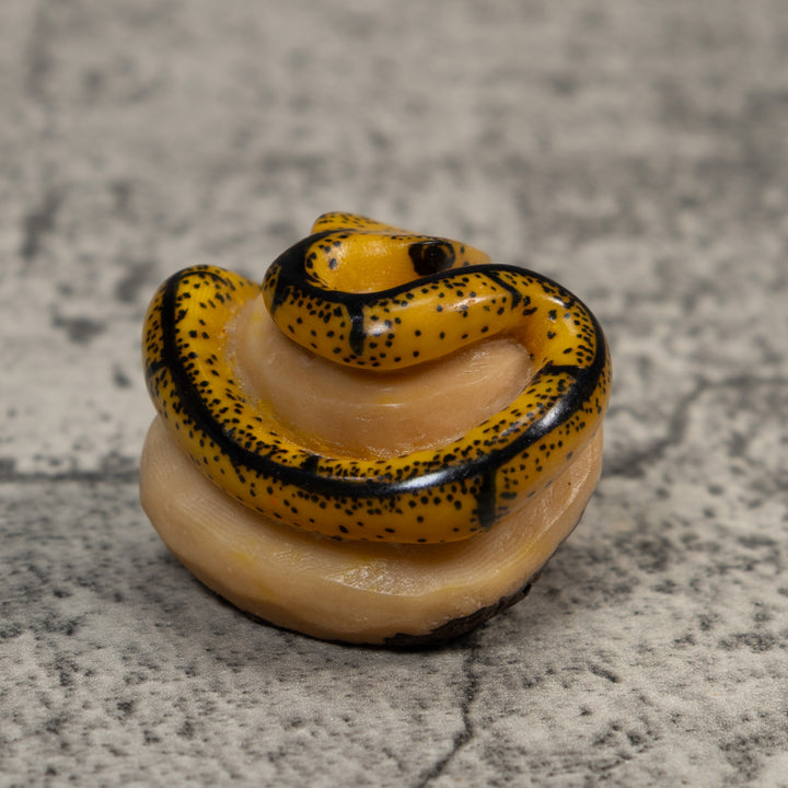 Black And Tan Bush Master Snake Tagua Carving