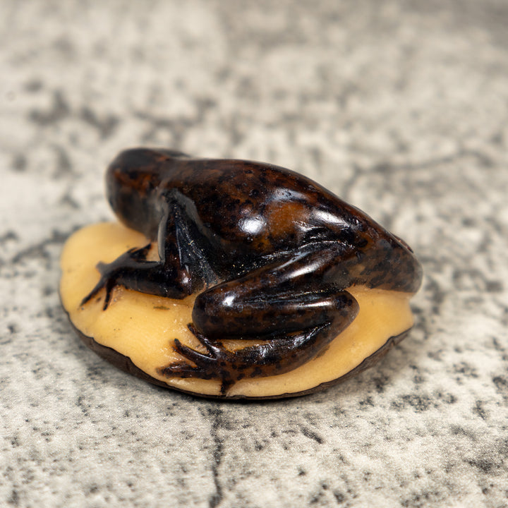 Vintage Brown Gecko Lizard Tagua Carving