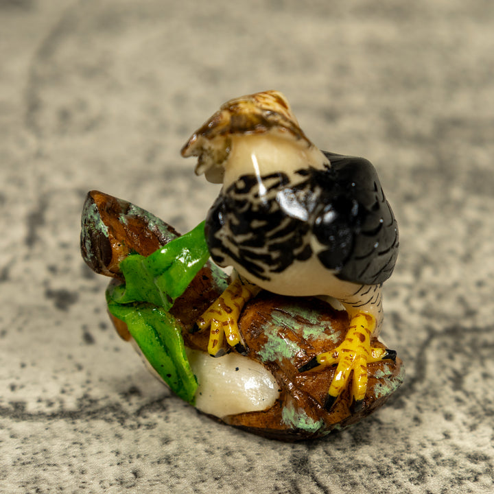 Magnificent Endangered Harpy Eagle Tagua Carving