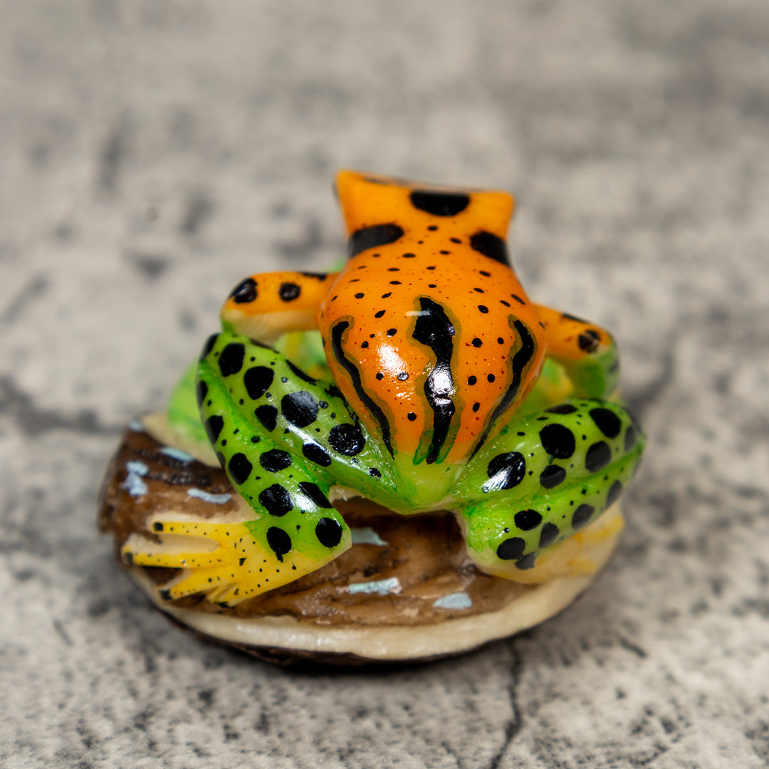 Green Gold And Black Poison Dart Frog Tagua Carving