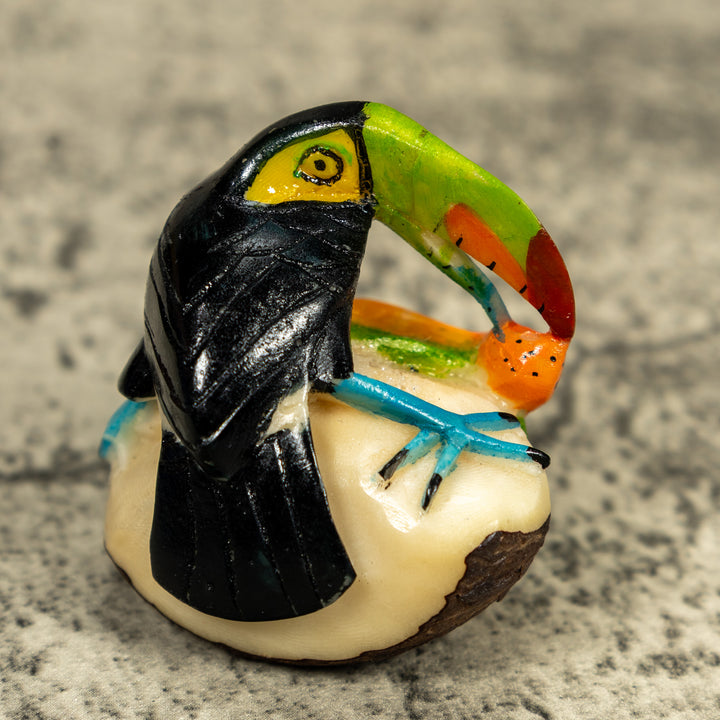 Toucan Parrot Bird Tagua Carving