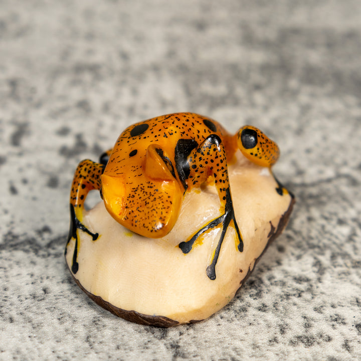 Gold And Black Poison Dart Frog Tagua Carving