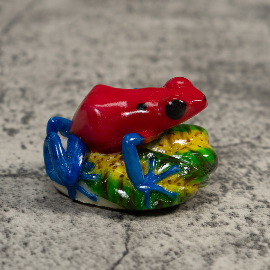 Red And Blue Poison Dart Frog Tagua Carving