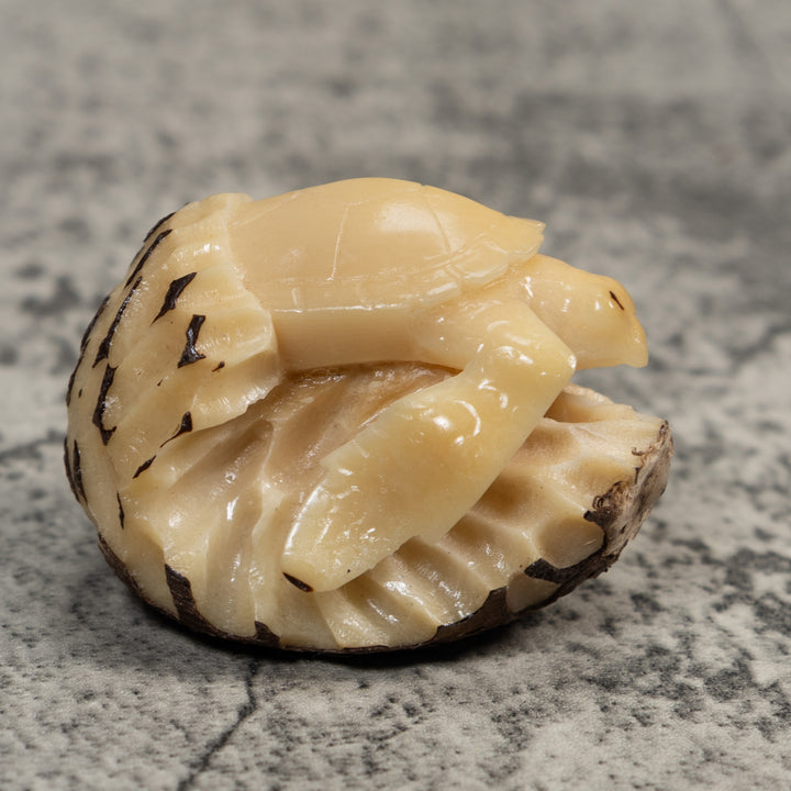 Vintage White Natural Sea Turtle Tagua Carving