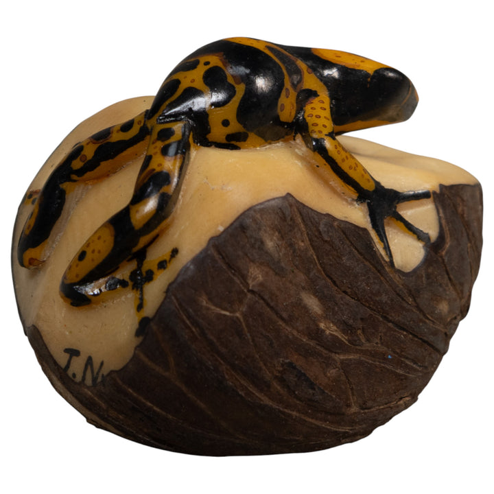 Gold And Black Poison Dart Frog Tagua Carving