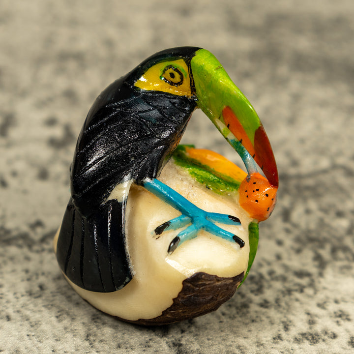 Toucan Parrot Bird Tagua Carving