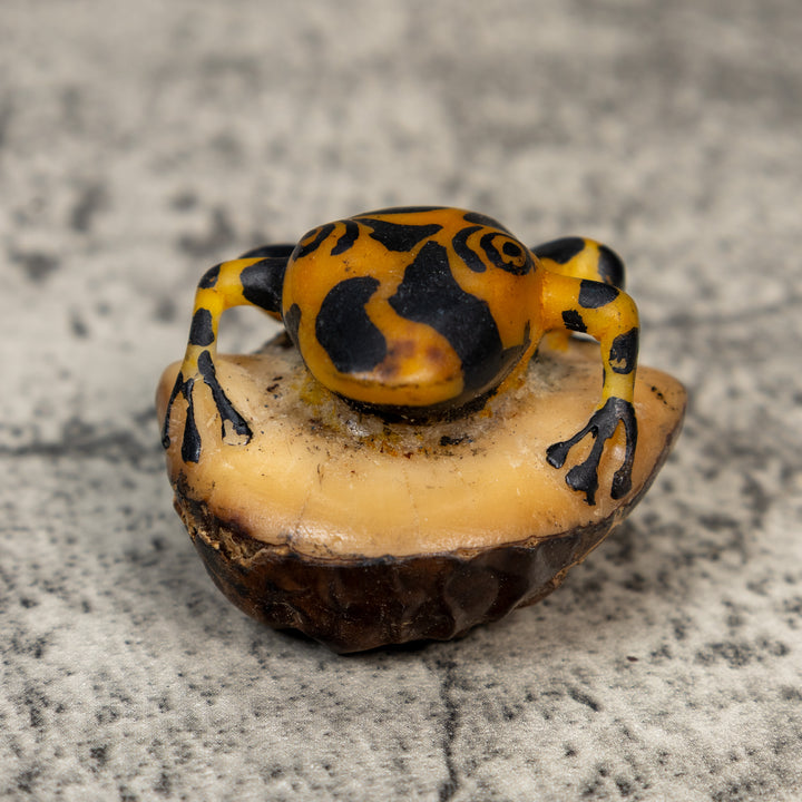 Vintage Black And Gold Frog Tagua Carving