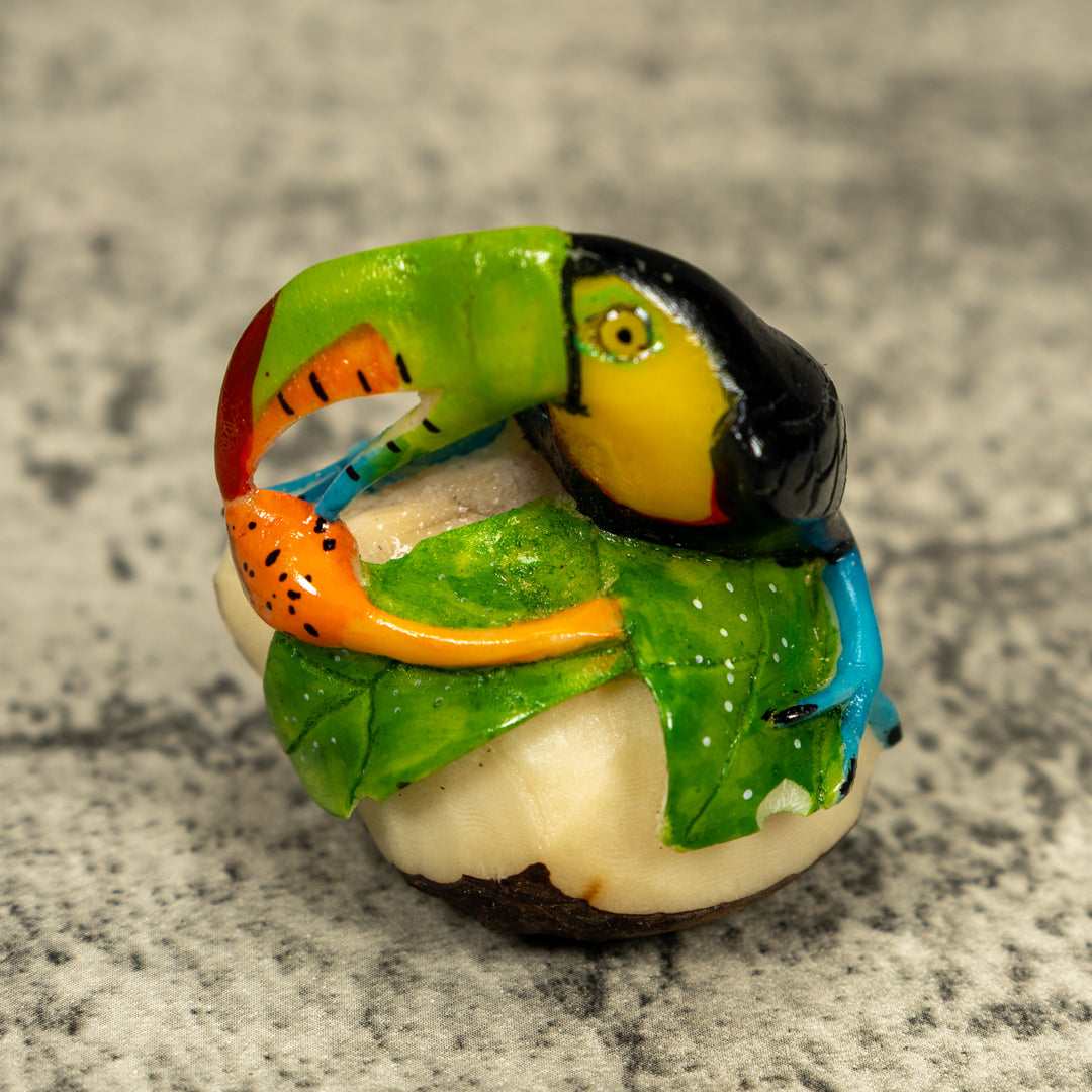 Toucan Parrot Bird Tagua Carving
