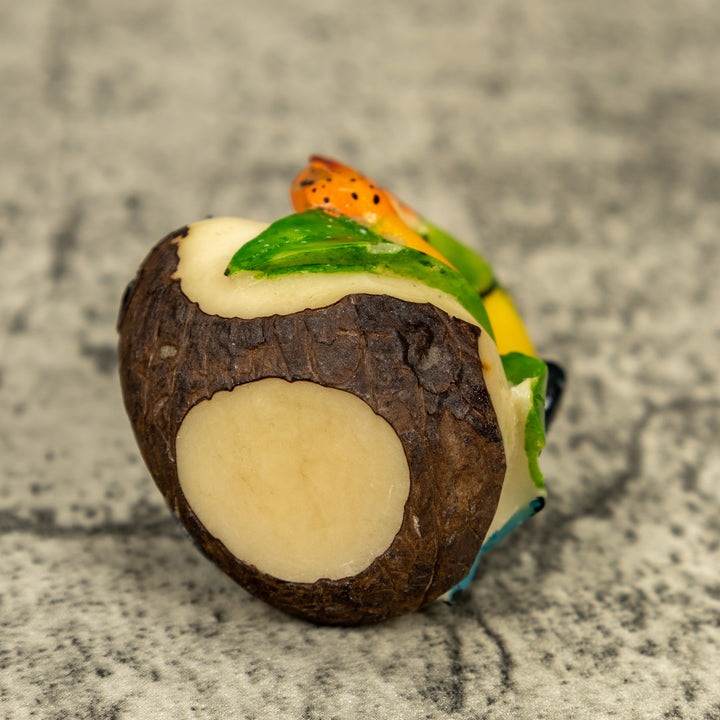 Toucan Parrot Bird Tagua Carving