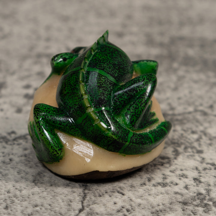 Green Iguana Lizard Iguana Tagua Carving