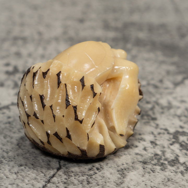 Vintage White Natural Sea Turtle Tagua Carving