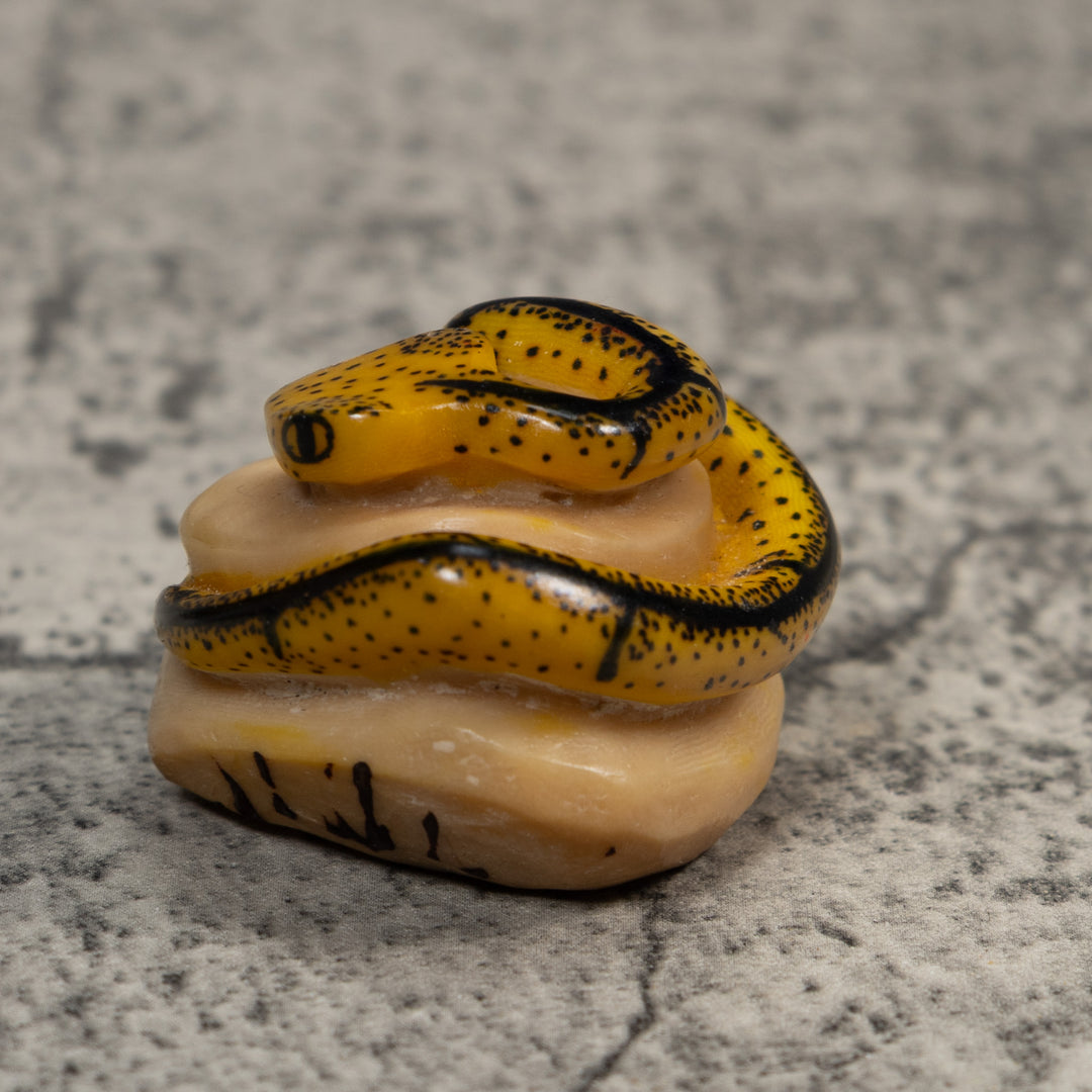 Black And Tan Bush Master Snake Tagua Carving
