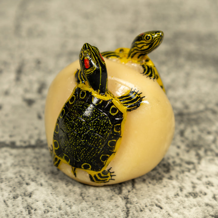 Double (2) Tortoise Turtle Tagua Carving