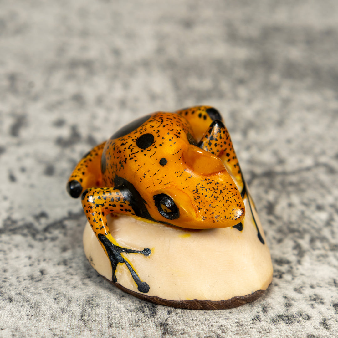 Gold And Black Poison Dart Frog Tagua Carving