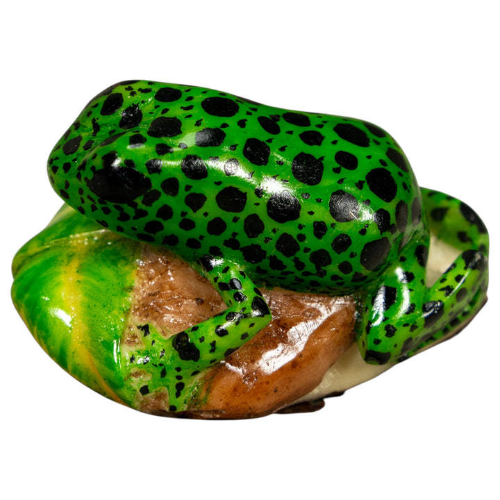 Green And Black Poison Dart Frog Tagua Carving