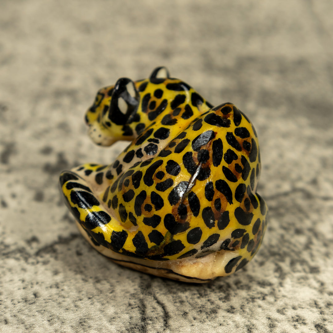 Jungle Jaguar Cat Tagua Carving