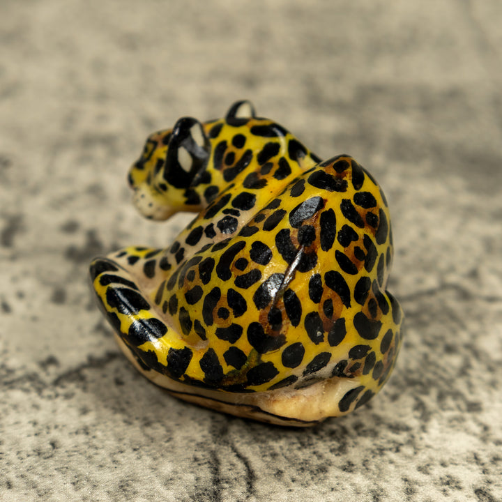 Jungle Jaguar Cat Tagua Carving