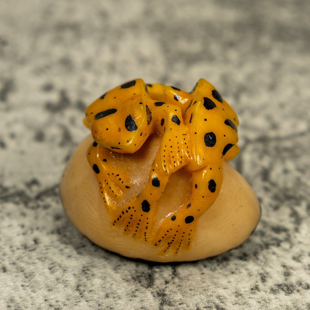Vintage Double (2) Golden Frog Tagua Carving