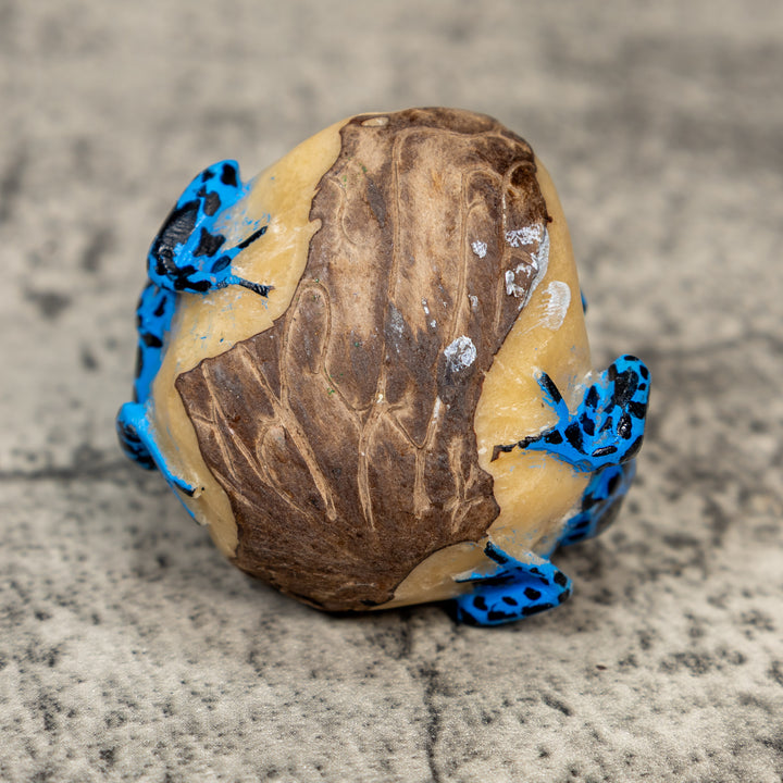 Blue And Black Double Frog Tagua Carving