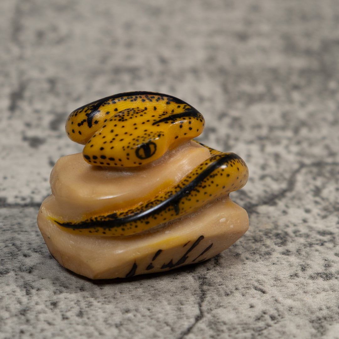 Black And Tan Bush Master Snake Tagua Carving