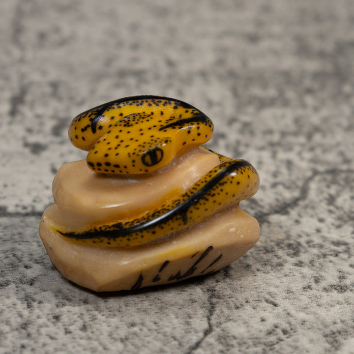 Black And Tan Bush Master Snake Tagua Carving