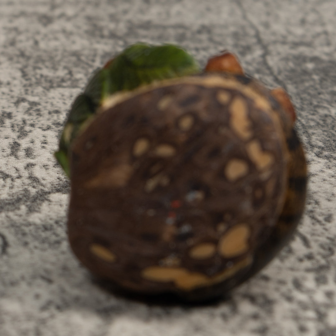 Coatimundi Tagua Carving