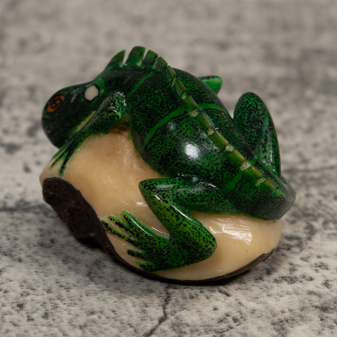 Green Iguana Lizard Iguana Tagua Carving