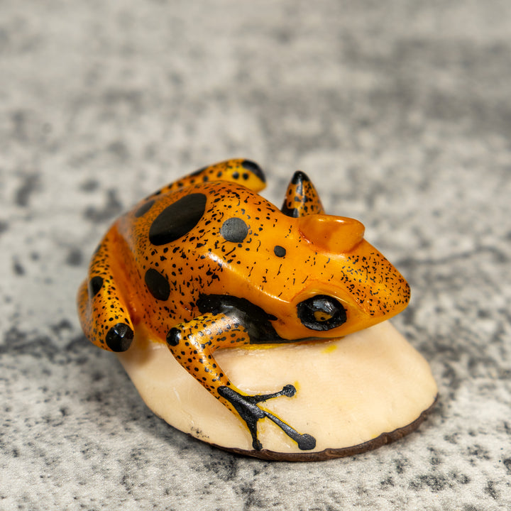 Gold And Black Poison Dart Frog Tagua Carving