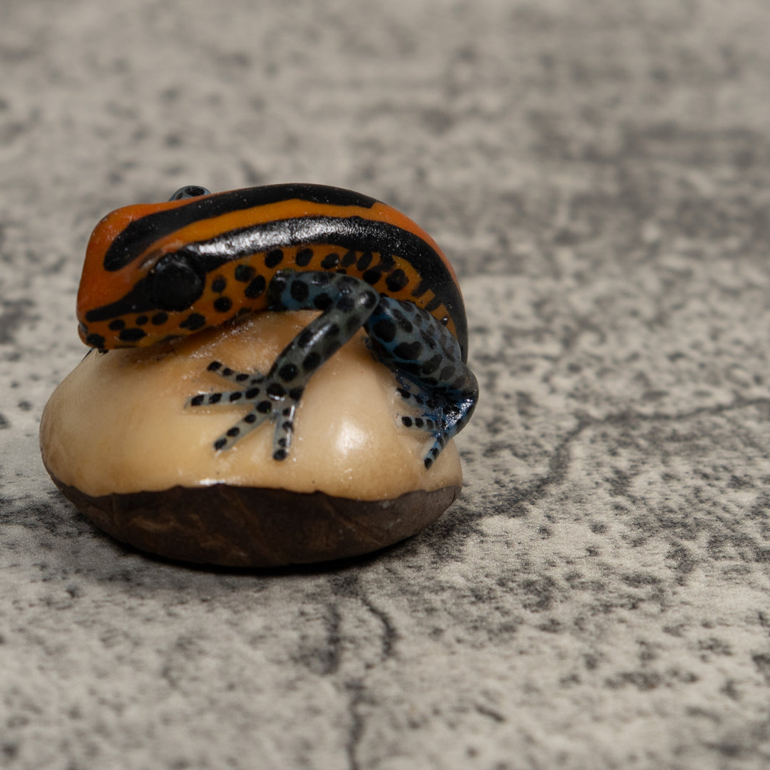 Gold And Black Poison Dart Frog Tagua Carving