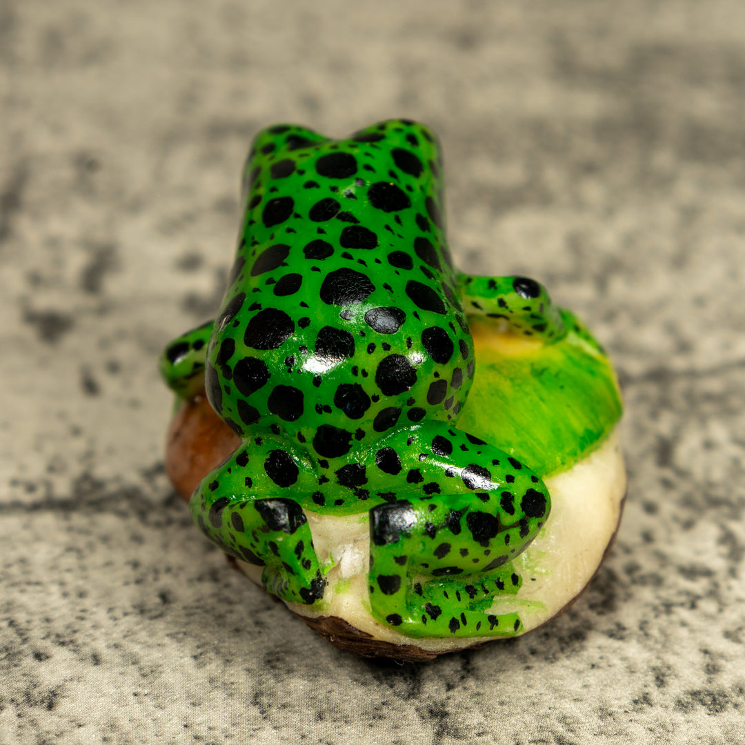 Green And Black Poison Dart Frog Tagua Carving