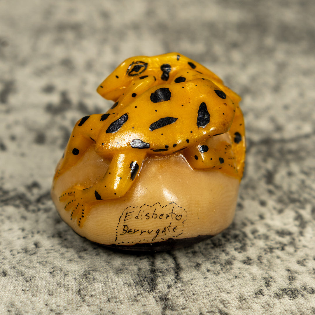 Vintage Double (2) Golden Frog Tagua Carving