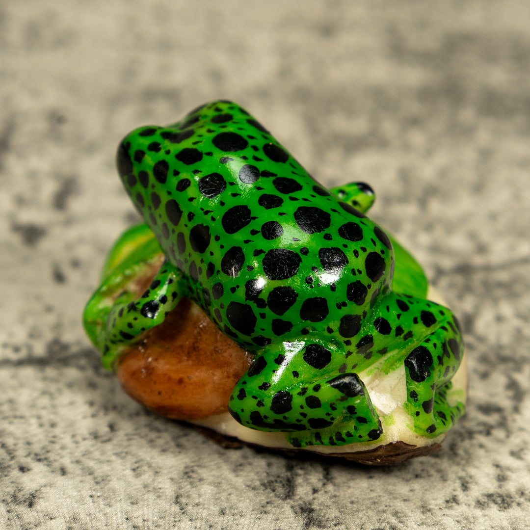 Green And Black Poison Dart Frog Tagua Carving