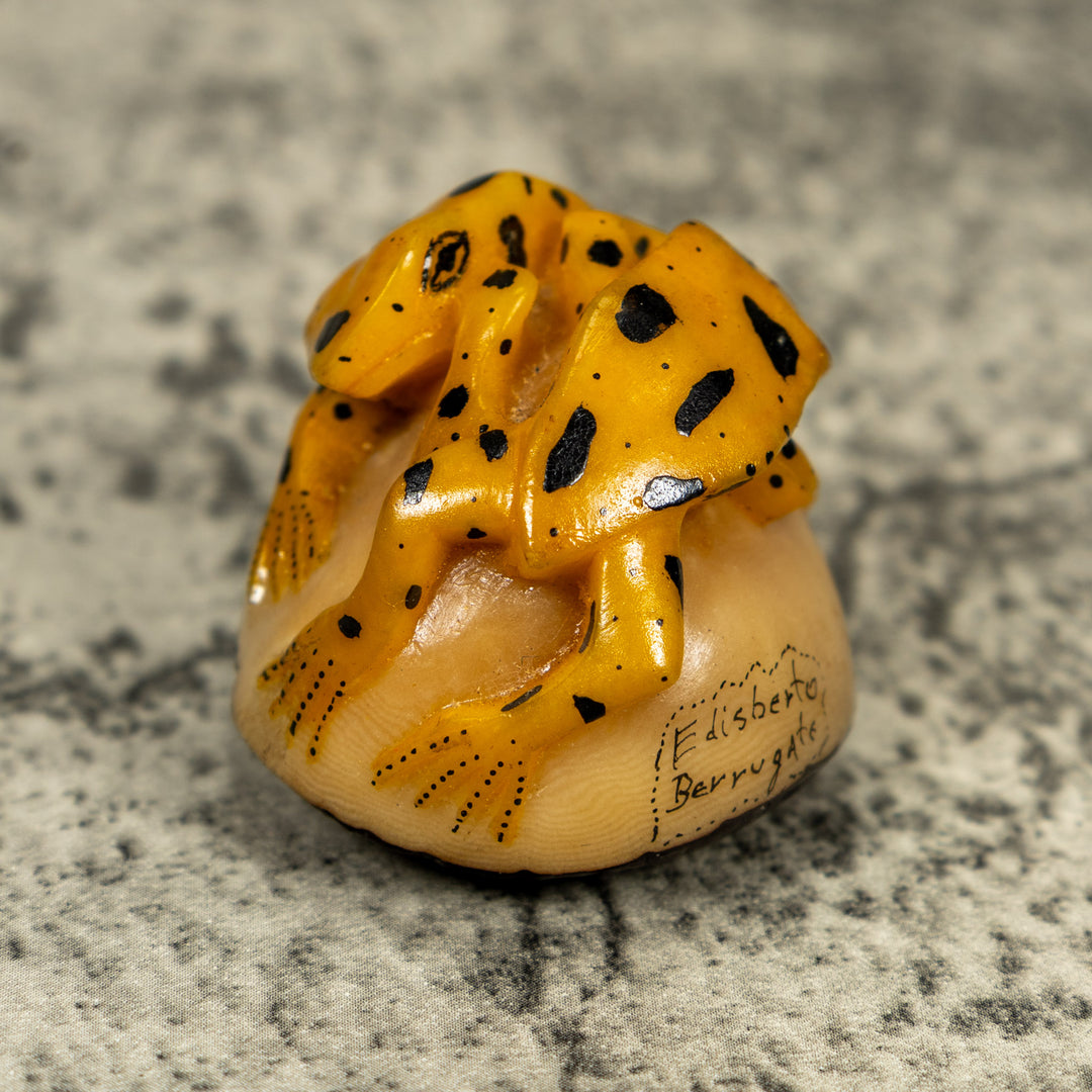 Vintage Double (2) Golden Frog Tagua Carving
