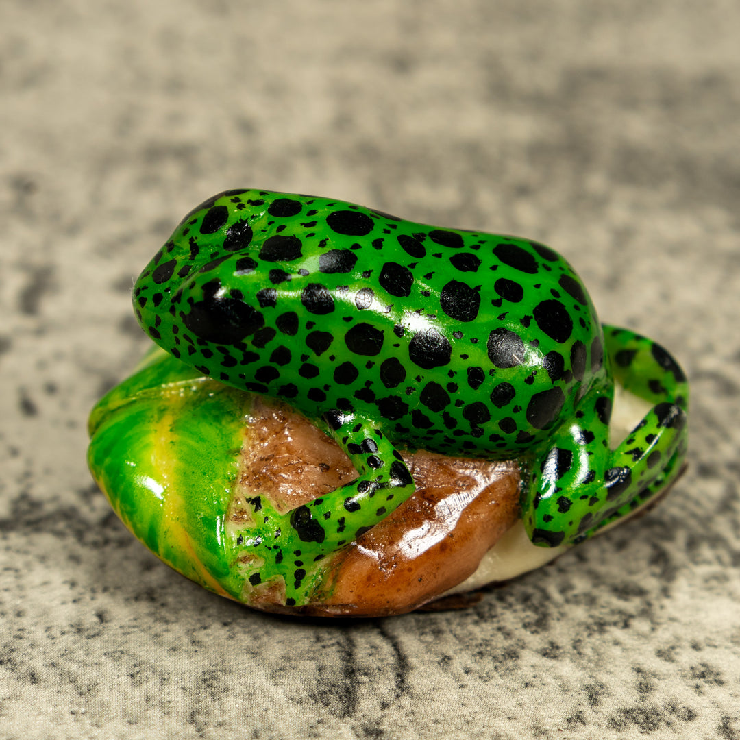 Green And Black Poison Dart Frog Tagua Carving