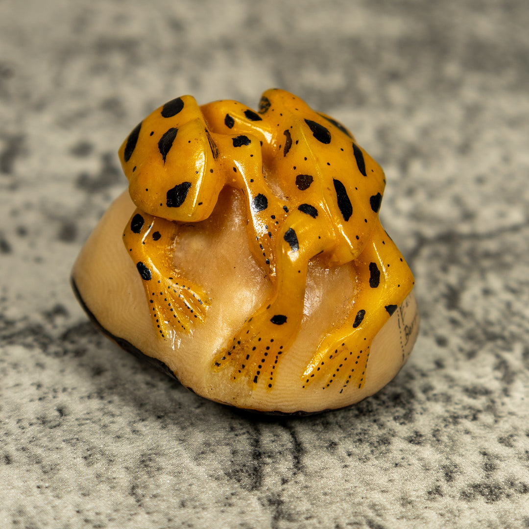 Vintage Double (2) Golden Frog Tagua Carving