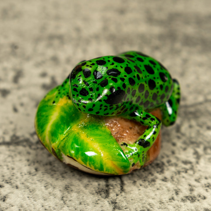 Green And Black Poison Dart Frog Tagua Carving