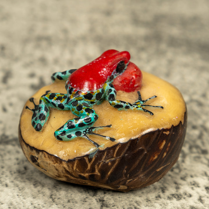 Multicolor Blow Throat Poison Dart Frog Tagua Carving